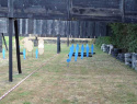 DSC00050.JPG