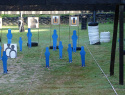 DSC04561.JPG